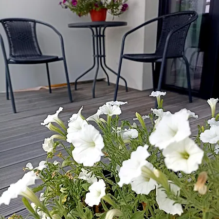Apartment White & Black Elk