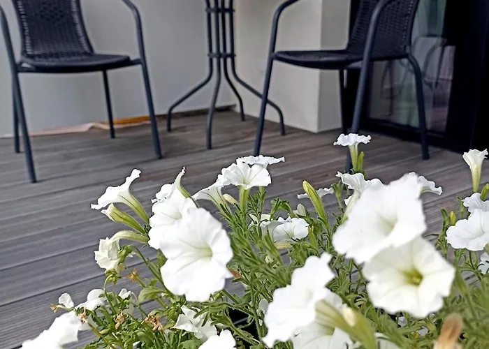 Apartmán White & Black Ełk